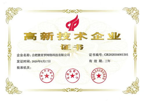 喜報 新青羅入選合肥市2021年度高成長企業，技術服務領域再創佳績